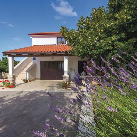 Amazing Apartment In Pazin With Wifi Katun Lindarski 외부 사진